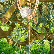 Load image into Gallery viewer, Olive Pit Fatima Rosary