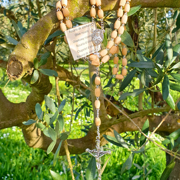 Olive Pit Fatima Rosary