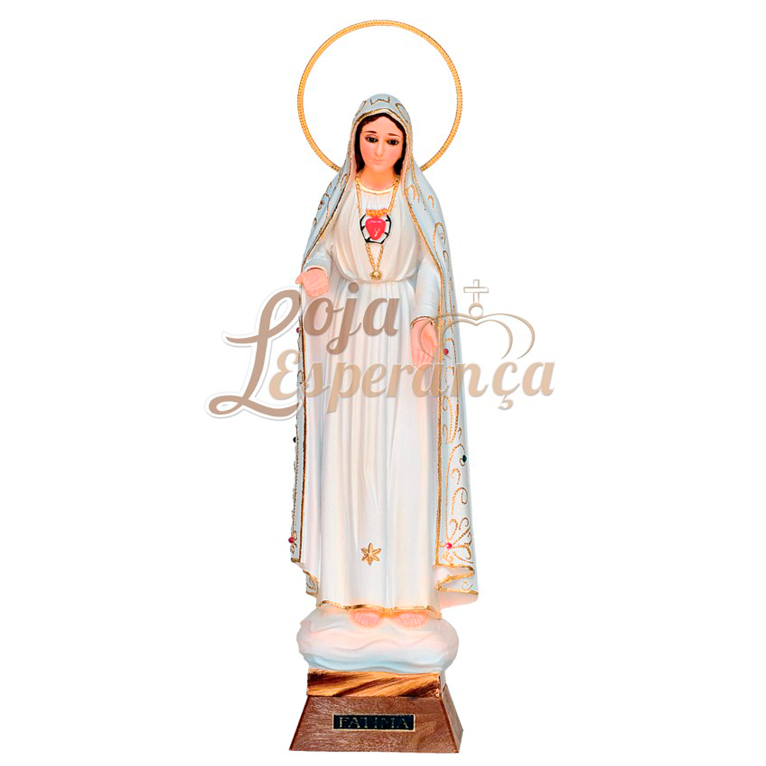 Immaculate Heart of Mary [Several sizes]